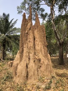 Termite Castle