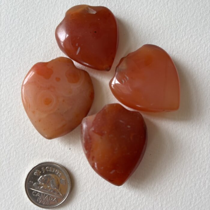 Medium Shield Pendant Carnelian Beads