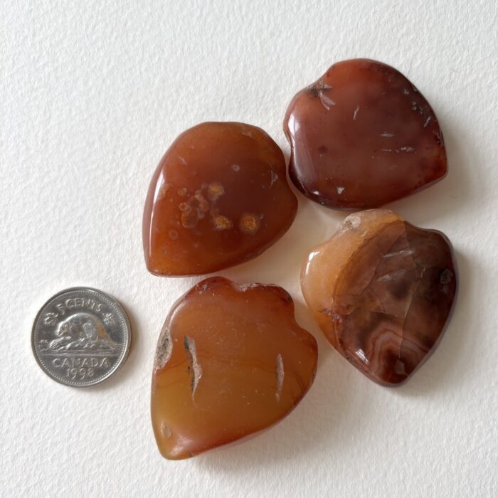 Medium Shield Pendant Carnelian Beads