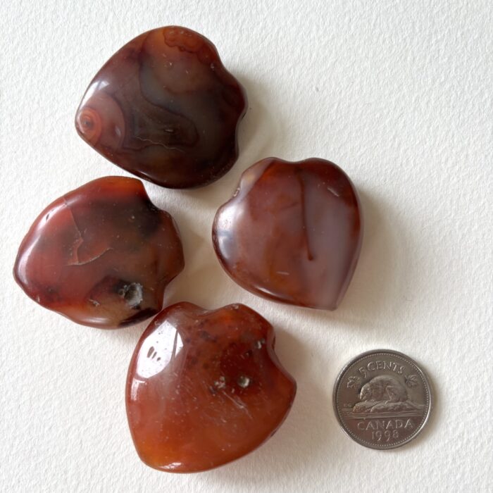 Medium Shield Pendant Carnelian Beads