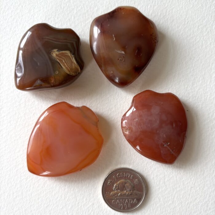 Medium Shield Pendant Carnelian Beads