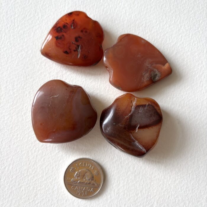 Medium Shield Pendant Carnelian Beads