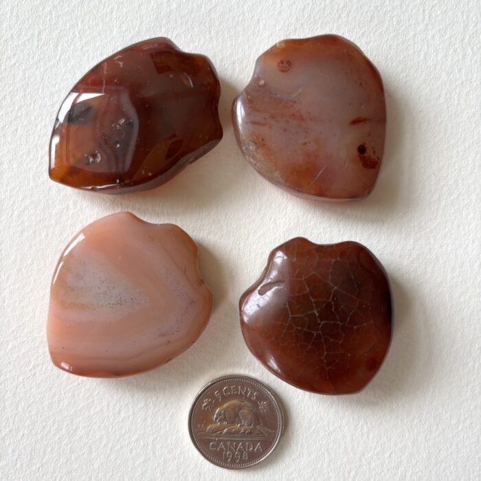 Medium Shield Pendant Carnelian Beads