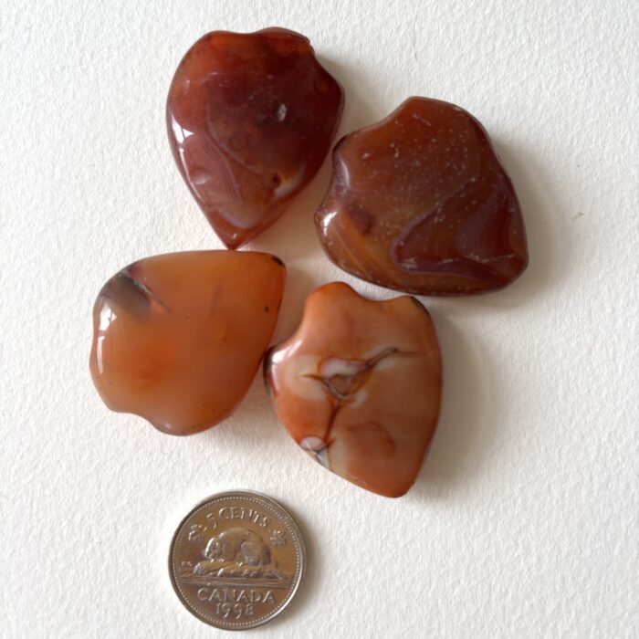 Small Shield Pendant Carnelian Beads