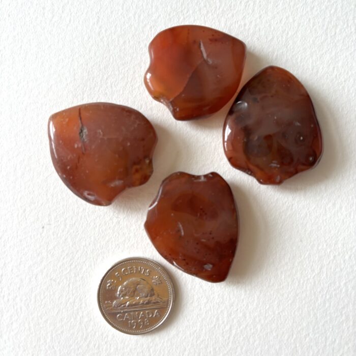 Small Shield Pendant Carnelian Beads