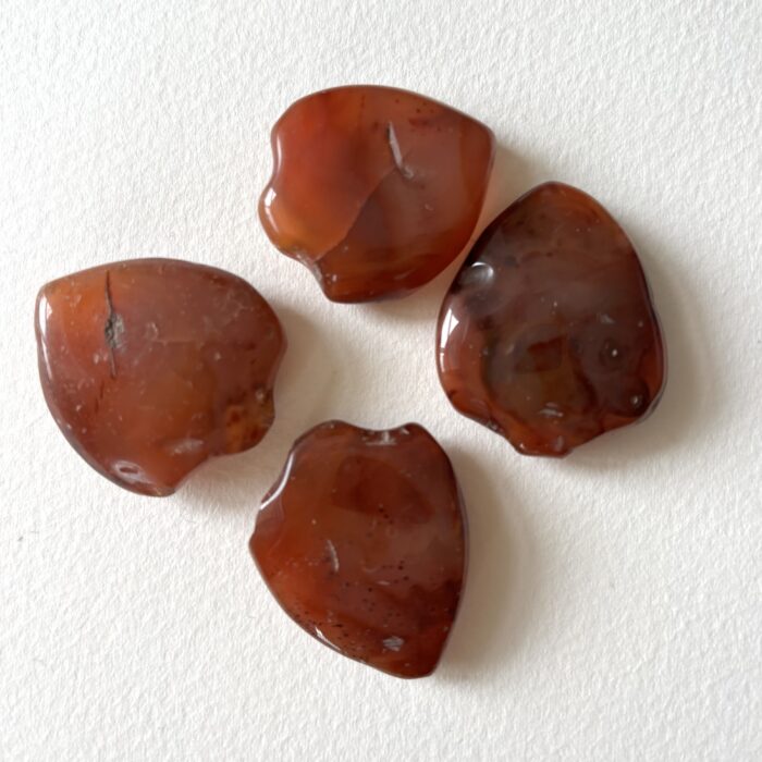 Small Shield Pendant Carnelian Beads