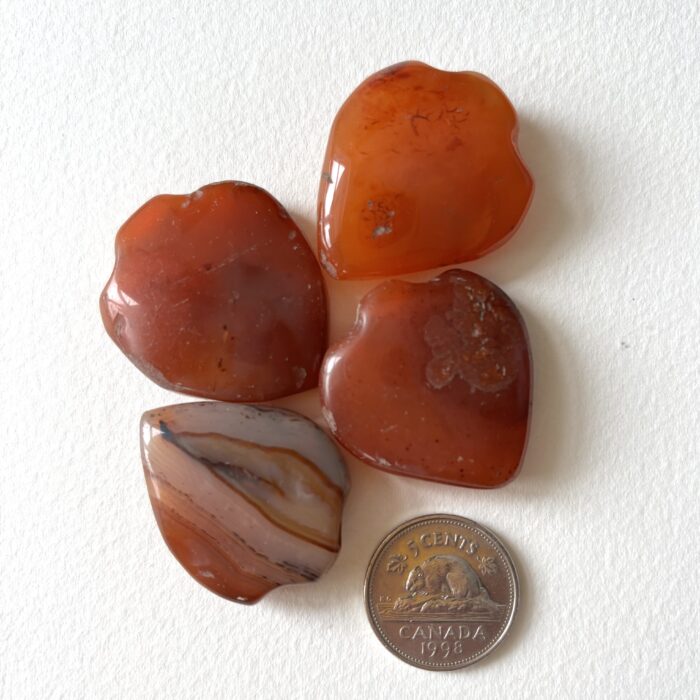 Small Shield Pendant Carnelian Beads