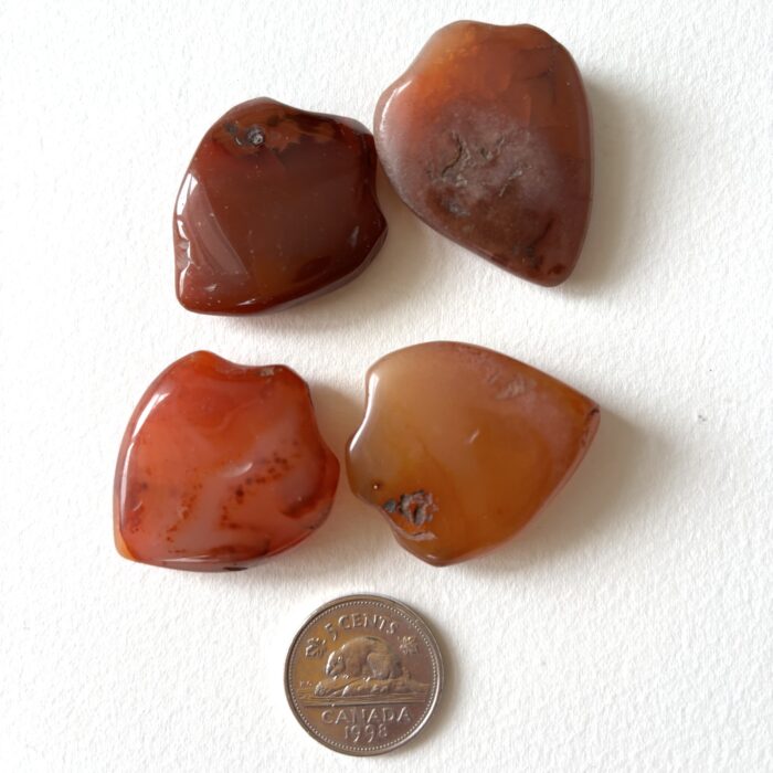 Small Shield Pendant Carnelian Beads