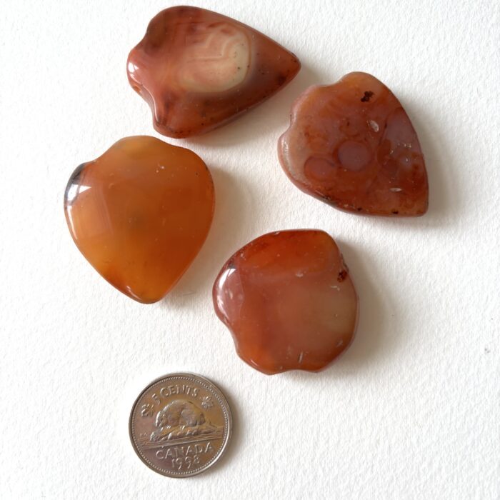 Small Shield Pendant Carnelian Beads