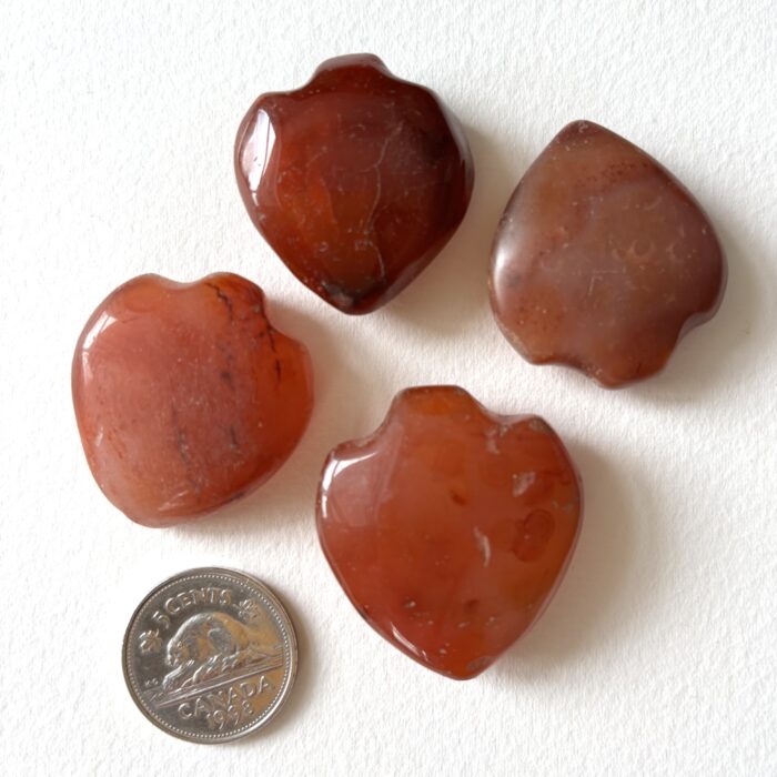 Small Shield Pendant Carnelian Beads